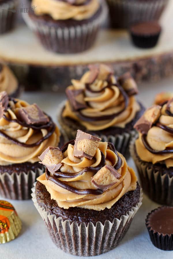 Chocolate cupcakes with peanut butter frosting topped with chopped peanut butter cups.