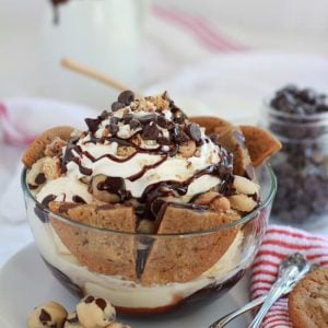 Large bowl of ice cream with chocolate chip cookies and fudge sauce.