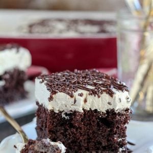 A close up of a piece of chocolate cake on a plate.