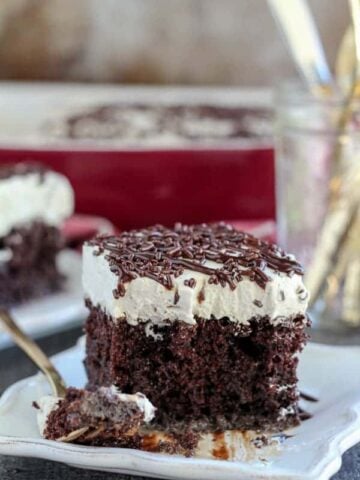 A close up of a piece of chocolate cake on a plate.