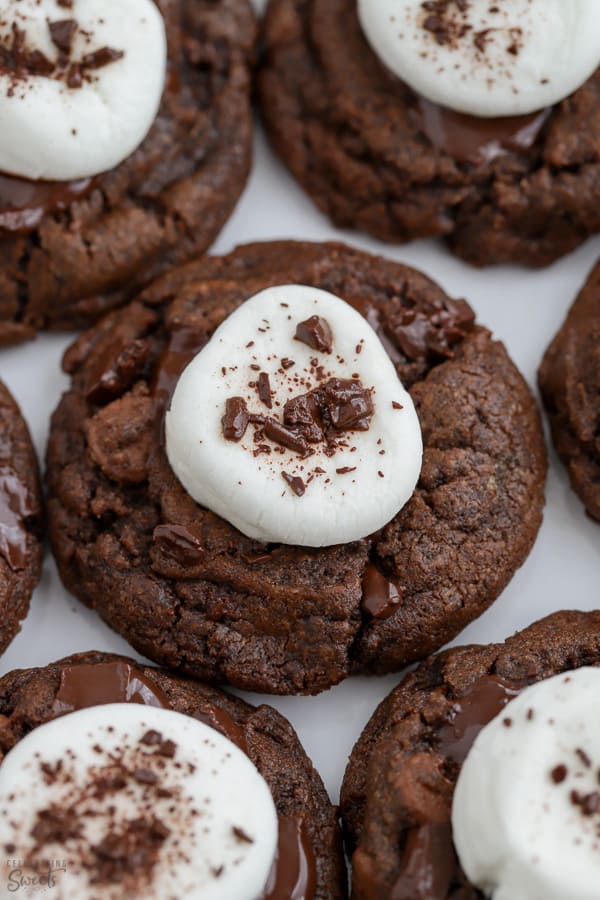Close up of chocolate cookies topped with marshmallows