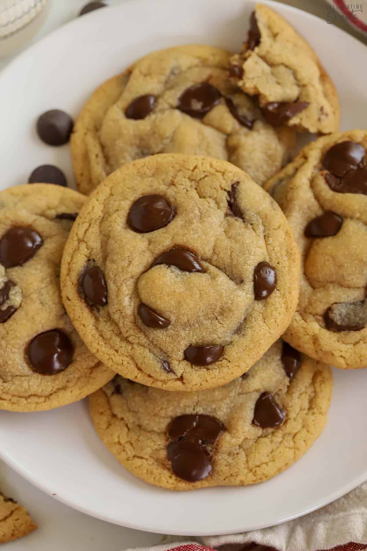 Small batch of chocolate chip cookies on a white plate.