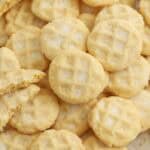 Mini sugar cookies covered in sugar piled on a baking sheet,